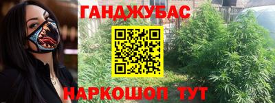 стаф Кунгур