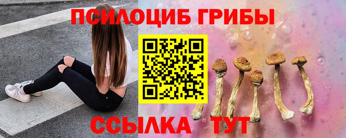 Псилоцибиновые грибы ЛСД Кизилюрт