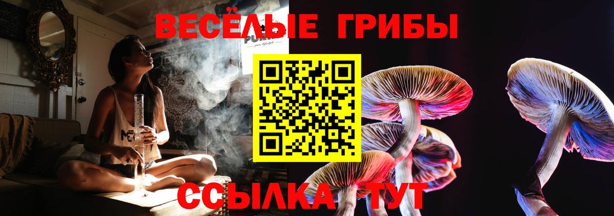 Галлюциногенные грибы Magic Shrooms  Вход с VPN  Кизилюрт 